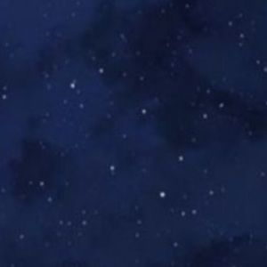 Meet your Posher, Delia